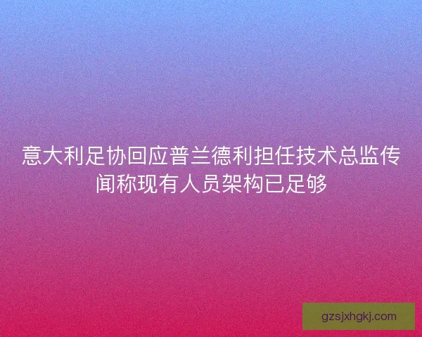 意大利足协回应普兰德利担任技术总监传闻称现有人员架构已足够