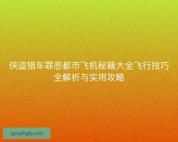 侠盗猎车罪恶都市飞机秘籍大全飞行技巧全解析与实用攻略