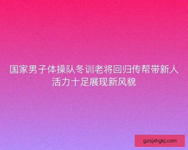 国家男子体操队冬训老将回归传帮带新人活力十足展现新风貌