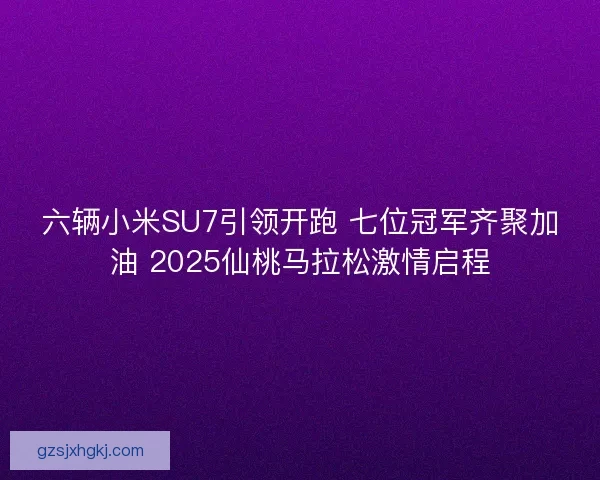 六辆小米SU7引领开跑 七位冠军齐聚加油 2025仙桃马拉松激情启程 六辆小米SU7引领开跑 七位冠军齐聚加油 2025仙桃马拉松激情启程