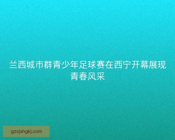 兰西城市群青少年足球赛在西宁开幕展现青春风采 兰西城市群青少年足球赛在西宁开幕展现青春风采